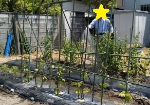 水まきする会長